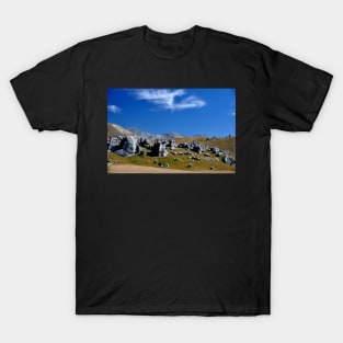 Nouvelle Zélande - paysage Sud de l'ile T-Shirt